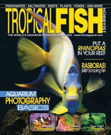 The Tropical Fish Hobbyist Magazine - Photo taken from www.tfhmagazine.com