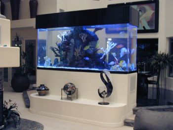 Saltwater Aquarium Setup - How to set up a Marine Reef Fish Tank