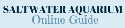 Saltwater Aquarium Online Guide Logo